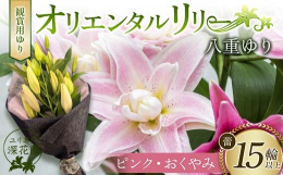 八重咲きのオリエンタルリリーは、咲いたときのボリューム感は圧倒的で豪華。特にオリエンタルリリーは輪も大きいので、迫力満点です。花びらは少なくとも12枚。花びらが多いぶん、1輪の花のもちがよいのも特徴で