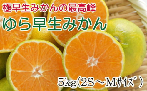 ［極早生みかんの逸品］有田産ゆら早生みかん約5kg★2026年10月中旬頃より順次発送 199587 - 和歌山県有田川町