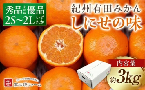 有田みかん しにせの味 約3kg 2S～2Lのいずれか 秀品または優品 199588 - 和歌山県有田川町