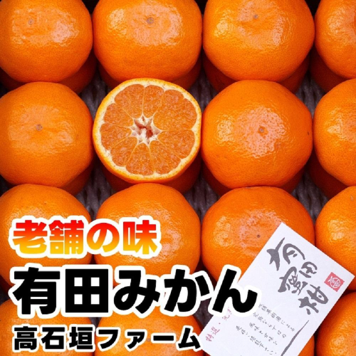 有田みかん しにせの味 約3kg S～2Lのいずれか 秀品または優品 199588 - 和歌山県有田川町