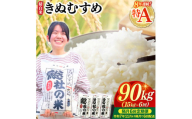 【令和7年産米】特Aきぬむすめ【精白米】90kg 定期便（15kg×6回）岡山県総社市〔令和7年11月・令和8年1月・3月・5月・7月・9月配送〕25-180-003