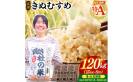 【令和7年産米】特Aきぬむすめ【玄米】120kg 定期便（15kg×8回）岡山県総社市〔令和7年11月から令和8年6月まで毎月配送〕25-240-001
