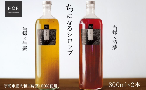 ちになるシロップ ＜大和当帰＞800ml × 2種セット ／POWER OF FOOD ふるさと納税 芍薬 生姜 シロップ 瓶 ガラス瓶 国産 食材 炭酸 大和当帰葉 有機 お湯割り 甜菜糖 ハチミツ はちみつ 送料無料 ち 奈良県 宇陀市 1995991 - 奈良県宇陀市