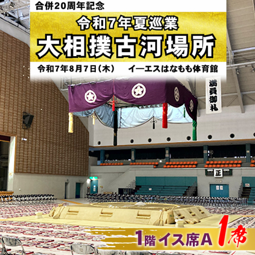 令和7年夏巡業 大相撲古河場所 1階イス席A 1席 8/7開催 ※2025年6月下旬頃までに発送いたします | 相撲 地方巡業 観戦 すもう スモウ いす イス 茨城県 古河市 _DP83 1996050 - 茨城県古河市