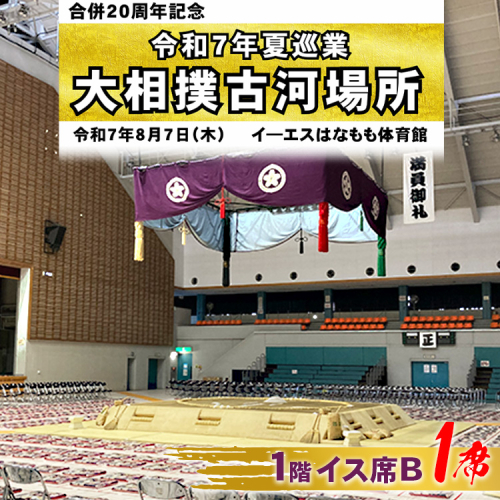 令和7年夏巡業 大相撲古河場所 1階イス席B 1席 8/7開催 ※2025年6月下旬頃までに発送いたします | 相撲 地方巡業 観戦 すもう スモウ いす イス 茨城県 古河市 _DP84 1996053 - 茨城県古河市