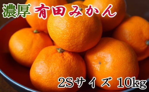 【濃厚・秀品】和歌山有田みかん約10kg(2Sサイズ) ★2025年11月中旬頃より順次発送 199611 - 和歌山県有田川町