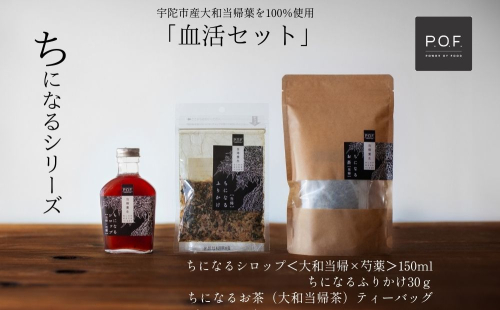 大和当帰葉商品「ちになるシリーズ」血活セット ／POWER OF FOOD ふるさと納税 芍薬 シロップ 瓶 ガラス瓶 国産 食材 炭酸 大和当帰葉 有機 お湯割り 甜菜糖 ハチミツ ふりかけ お茶 ご飯 はちみつ 送料無料 ち 奈良県 宇陀市
 1996207 - 奈良県宇陀市