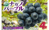 ナガノパープル4房　県内共通返礼品:かすみがうら市産 (BR156)
