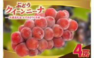クインニーナ4房　県内共通返礼品:かすみがうら市産 (BR160)
