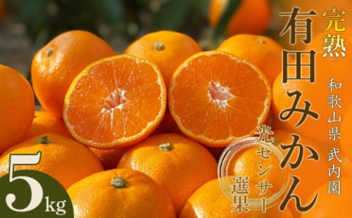 【年内発送】 和歌山県 武内園 有田みかん 特選 秀品 5kg   完熟 光センサー 選果 199641 - 和歌山県有田川町