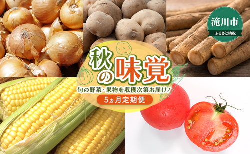 【2025年8月より発送】秋の味覚～旬の野菜を収穫次第お届け！ 北海道 滝川市 ゴールドラッシュ 玉ねぎ 玉葱 ごぼう ゴボウ じゃがいも ジャガイモ きたあかり 野菜 定期便 1996538 - 北海道滝川市