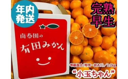 年内発送 完熟早生 有田みかん 小玉ちゃん 等級混合 2.2 kg 和歌山 南泰園 みかん 199653 - 和歌山県有田川町