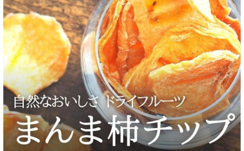 ドライフルーツ 柿チップ 400g ( 40g × 10袋 ) 和歌山県産 果物使用 自社製造 【みかんの会】 199657 - 和歌山県有田川町