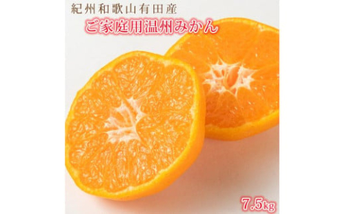 ［ご家庭用訳アリ］紀州有田産温州みかん7.5kg［2026年11月下旬以降発送］［先行予約］［UT10w］ 199662 - 和歌山県有田川町