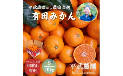 農家直送！有田みかん（10kg Sサイズ 秀品）平武農園　～蛍飛ぶ町から旬の便り～ 199664 - 和歌山県有田川町