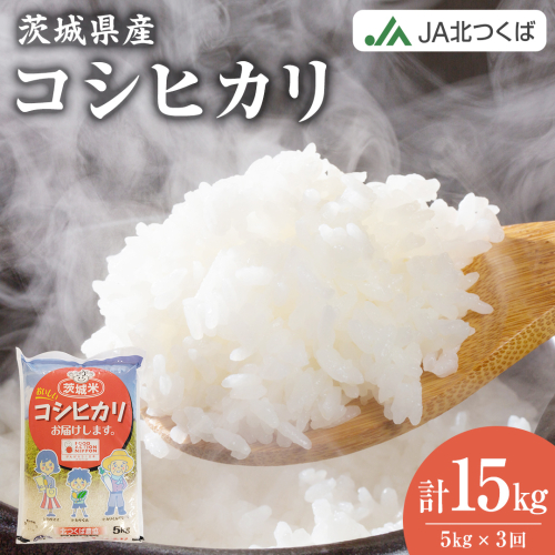 【 定期便 3ヶ月 】 JA北つくば 茨城県産 コシヒカリ 5kg 令和6年産 農協 JA 米 お米 白米 コメ こしひかり 茨城県 精米 新生活 応援 [AE047ci] 1996692 - 茨城県筑西市