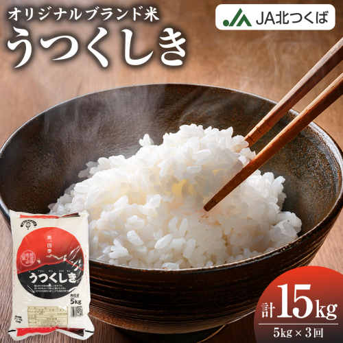 【 定期便 3ヶ月 】 JA北つくば オリジナル ブランド米 「 うつくしき 」 5kg ( コシヒカリ )  令和6年産 農協 JA 米 お米 白米 コメ こしひかり 茨城県 精米 新生活 応援 [AE050ci] 1996696 - 茨城県筑西市