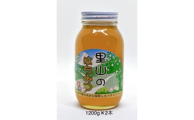 ありだ里山の蜂蜜（1200ｇ×2本セット） 199677 - 和歌山県有田川町