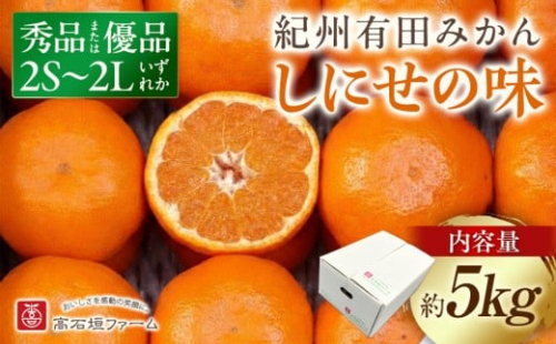 有田みかん しにせの味 約5kg 2S～2Lのいずれか 秀品または優品 199678 - 和歌山県有田川町