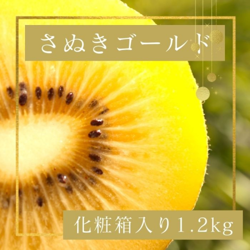 さぬきゴールド キウイフルーツ 1.2kg化粧箱入り【予約受付中！令和7年10月中旬頃より発送！】【A-113】 1996794 - 香川県多度津町