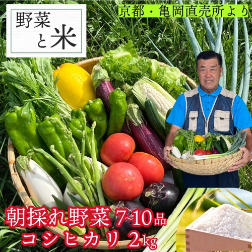 予約 野菜と米 京都 佐伯の里 新鮮 旬の野菜セット 7～10品 コシヒカリ2kg 新米 京都丹波・亀岡産 季節の野菜 詰め合わせ 訳あり 生活応援 ※北海道・沖縄・離島への配送不可 ※2025年9月下旬頃より順次発送 1996830 - 京都府亀岡市