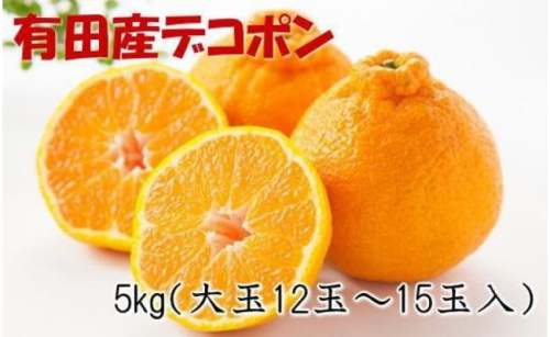 【お味濃厚】紀州有田産の大玉デコポン約5kg(12玉～15玉入り・青秀以上) ★2025年１月中旬頃より順次発送 199701 - 和歌山県有田川町