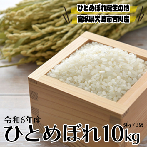 (04236)【令和6年産】大崎市古川産ひとめぼれ10kg 1997052 - 宮城県大崎市