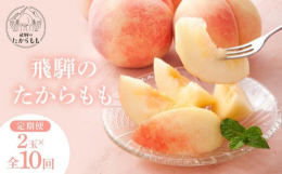 【飛騨のたからもも】夏でも朝晩の寒暖差が激しい高山の地で大切に育てられた、毎年大人気の桃です。栽培農家であるつむぎ果樹園は、飛騨地域の中でも珍しく南に傾斜している農園のため、日照時間が長くなり桃がしっ