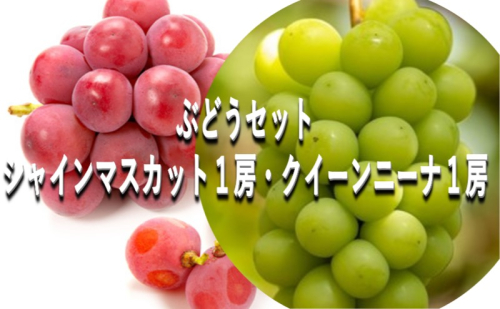 ぶどう 【2025年 早期受付】 ぶどうセット シャインマスカット 1房 ・ クイーンニーナ 1房(合計約1kg) ブドウ 葡萄 岡山県産 国産 フルーツ 果物 ギフト 1997316 - 岡山県瀬戸内市
