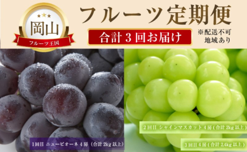 ぶどう 【2025年 先行予約】 晴れの国 おかやま の フルーツ 定期便  葡萄 ニュー ピオーネ シャインマスカット 岡山県産 国産 セット ギフト 1997331 - 岡山県瀬戸内市