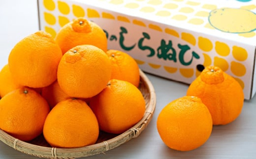 【厳選手選別】 たなか農園 有田のしらぬひ 約3kg（9玉～14玉） 199735 - 和歌山県有田川町