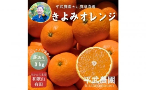 農家直送！きよみオレンジ 3kg 訳あり≪サイズ混合≫［平武農園］～蛍飛ぶ町から旬の便り～［2026年3月下旬から順次発送予定］ 199739 - 和歌山県有田川町