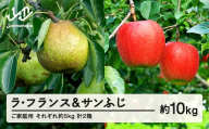 【先行予約】ラ・フランス サンふじ セット ご家庭用 約10kg 各約5kg 各1箱 計2箱 洋梨 りんご 2025年産 山形県産 ※沖縄・離島への配送不可 送料無料 tf-fslrx5