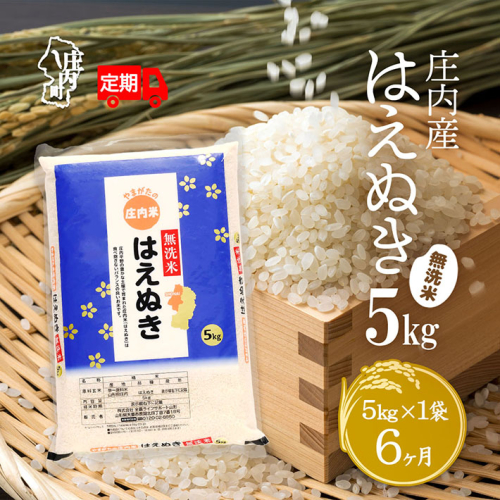 ＜4月中旬発送＞庄内米6か月定期便！はえぬき無洗米 5kg（入金期限：2025.3.25） 1997439 - 山形県庄内町