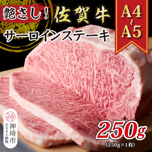 艶さし！【A4～A5】佐賀牛サーロインステーキ 250g(250g×1枚)【肉 牛肉 ブランド牛 黒毛和牛 ステーキ肉 ふるさと納税】(H112104) 1997454 - 佐賀県神埼市