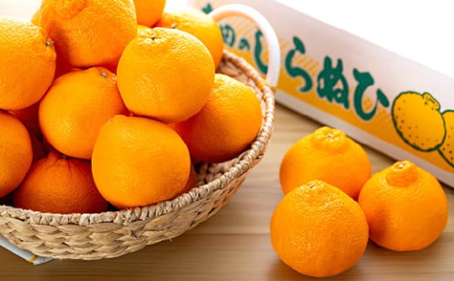 【厳選手選別】 たなか農園 有田のしらぬひ 約5kg（18玉～20玉） 199747 - 和歌山県有田川町