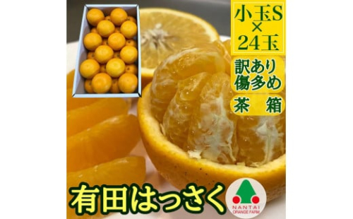 訳あり 傷多め 手詰め 有田 はっさく 小玉 S サイズ × 24玉入 南泰園 199750 - 和歌山県有田川町