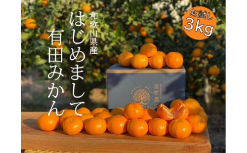 ［先行受付2025年11月発送～］NEW はじめまして 有田みかん  お試し 3kg 和歌山県産 / ORYY推奨 199767 - 和歌山県有田川町