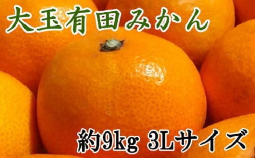 【食べごたえ十分】和歌山有田みかん大玉約9kg(3Lサイズ・秀品）★2025年11月中旬頃より順次発送 199776 - 和歌山県有田川町