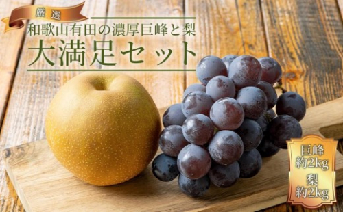 農家直送 和歌山有田の朝採り 巨峰 と 梨 大満足セット［2026年・先行予約］ 199809 - 和歌山県有田川町