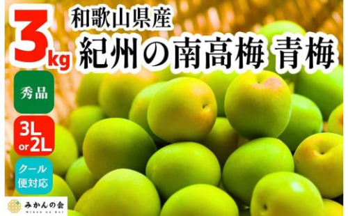 ［2026年6月上旬出荷］青梅 南高梅 3kg 秀品 3Lまたは2Lサイズ 和歌山県産 A品 梅酒作り用 梅ジュース作り用 199816 - 和歌山県有田川町