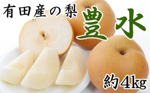 [厳選・産直]有田産の梨(豊水)約4kg★2026年8月中旬頃より順次発送 199822 - 和歌山県有田川町