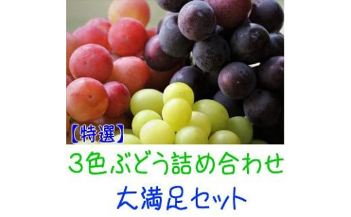 農家直送 ３色ぶどう詰め合わせ大満足セット 約4kg入り【先行予約】 199829 - 和歌山県有田川町