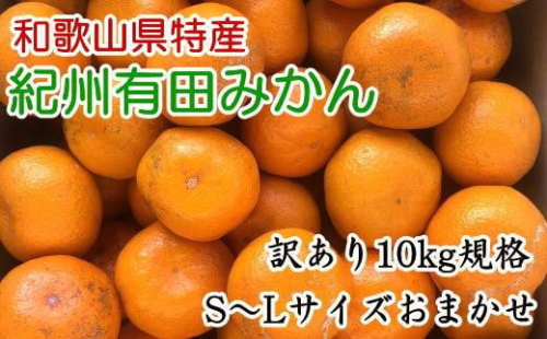 [訳あり]和歌山有田みかん約10kg(S～Lサイズいずれかお届け）★2026年11月中旬頃より順次発送［TM82w］ 199834 - 和歌山県有田川町
