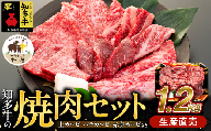 知多牛 響 焼肉セット 1.2kg 上カルビ バラカルビ 赤身カルビ 生産直売 国産 牛肉 焼肉 肉 カルビ 牛 牛肉 焼肉 肉 カルビ 牛 ワイン 焼肉 肉 カルビ 牛 牛丼 牛肉 焼肉 肉 国産牛 カルビ 牛 BBQ 牛肉 焼肉 肉 カルビ 牛 ふるさと納税牛肉 ふるさと納税焼肉 ふるさと納税カルビ 牛肉 焼肉 肉 牛 バーベキュー 愛知県 南知多町 人気 おすすめ