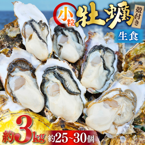 【期間限定発送】 牡蠣 小粒 1〜1年半モノ 生食 殻付き牡蠣 約3kg (約25〜30個入) [住喜水産 宮城県 気仙沼市 20565054] 冷蔵 新鮮 濃厚 真牡蠣 カキ かき 生牡蠣 魚貝類 貝 海鮮 魚介類 なべ カキフライ 牡蠣ご飯 魚介 1998565 - 宮城県気仙沼市