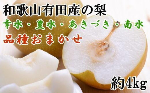 【産直】和歌山有田産の梨約4kg（品種おまかせ）★2026年8月上旬頃より順次発送 199873 - 和歌山県有田川町