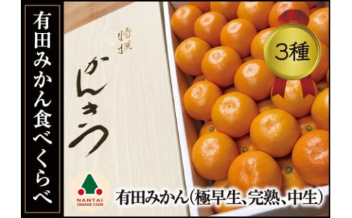 定期便 有田みかん 食べくらべ 3種 化粧箱 各約 3kg 南泰園 全3回 2024年 10月 発送開始 199874 - 和歌山県有田川町