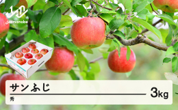 サンふじは、袋をかけずに太陽の光を浴びたふじりんごのことを指します。甘味が多く、りんご本来のコクのある味に仕上がります。■特徴こちらの返礼品は、山形連携中枢都市圏における共通返礼品です。 関係市町(山