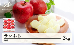 サンふじは、袋をかけずに太陽の光を浴びたふじりんごのことを指します。甘味が多く、りんご本来のコクのある味に仕上がります。■特徴山形連携中枢都市圏についてこちらの返礼品は山形連携中枢都市圏における共通返